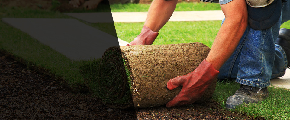 Canajoharie Landscapers